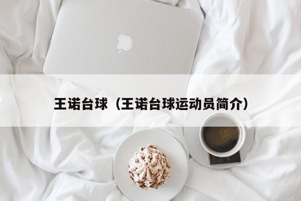 王诺台球（王诺台球运动员简介）