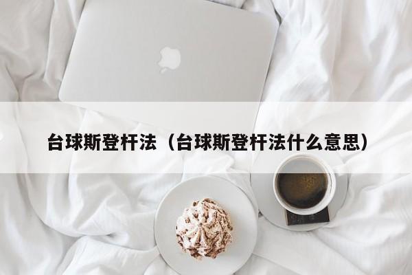 台球斯登杆法（台球斯登杆法什么意思）