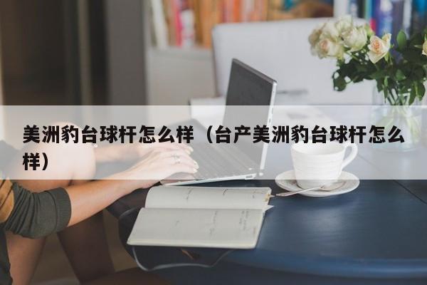 美洲豹台球杆怎么样（台产美洲豹台球杆怎么样）